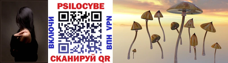 Псилоцибиновые грибы Cubensis  Шахунья 